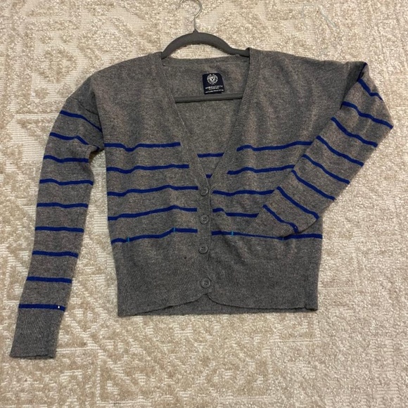 American Eagle Outfitters S/P Grey and Blue Sweater/Cardigan - Picture 1 of 4
